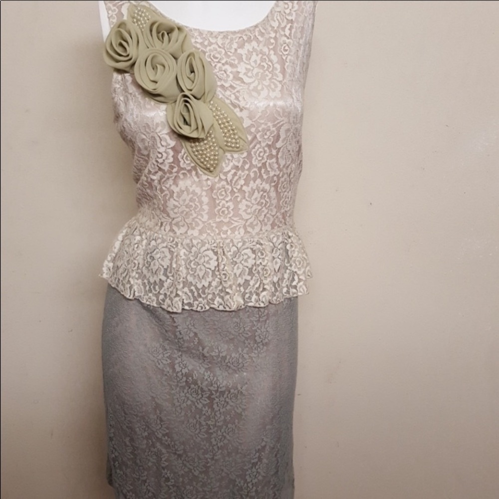 Gracia pencil fit dress. Fits like a medium